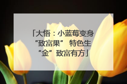 大悟：小蓝莓变身“致富果” 特色生“金”致富有方
