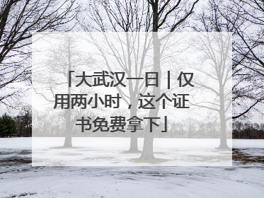 大武汉一日｜仅用两小时，这个证书免费拿下