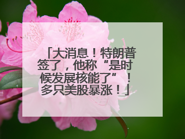 大消息！特朗普签了，他称“是时候发展核能了”！多只美股暴涨！