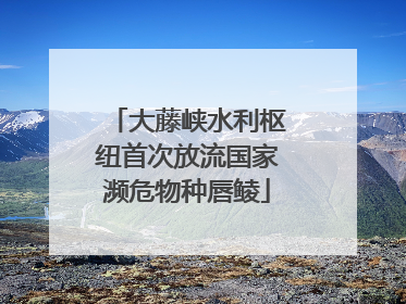 大藤峡水利枢纽首次放流国家濒危物种唇鲮