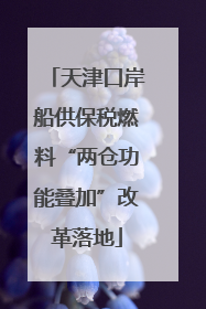 天津口岸船供保税燃料“两仓功能叠加”改革落地