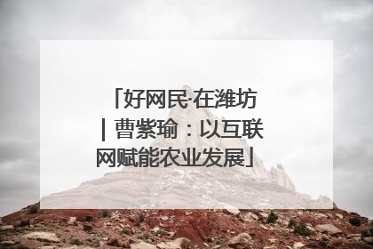 好网民·在潍坊｜曹紫瑜：以互联网赋能农业发展