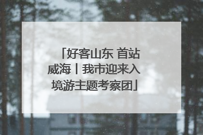好客山东 首站威海丨我市迎来入境游主题考察团
