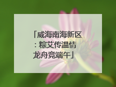 威海南海新区：粽艾传温情 龙舟竞端午