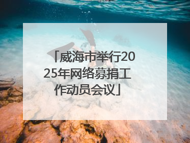 威海市举行2025年网络募捐工作动员会议