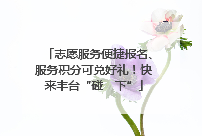 志愿服务便捷报名、服务积分可兑好礼！快来丰台“碰一下”