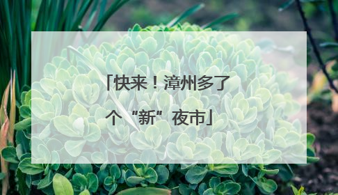 快来！漳州多了个“新”夜市