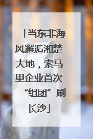 当东非海风邂逅湘楚大地，索马里企业首次“组团”刷长沙