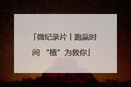 微纪录片丨跑赢时间 “植”为救你