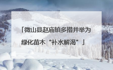微山县赵庙镇多措并举为绿化苗木“补水解渴”