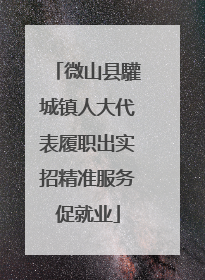 微山县驩城镇人大代表履职出实招精准服务促就业