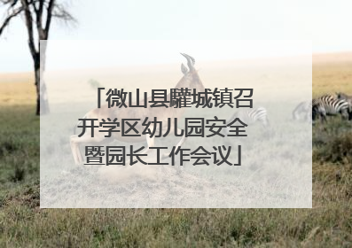 微山县驩城镇召开学区幼儿园安全暨园长工作会议