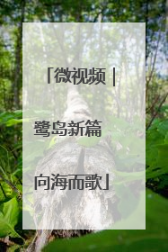 微视频｜鹭岛新篇 向海而歌