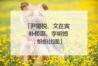 尹锡悦、文在寅、朴槿惠、李明博，纷纷出面