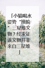小猫喝水姿势“撞脸”三星堆文物？经求证该文物并非来自三星堆