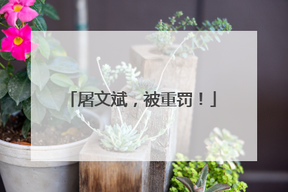 屠文斌，被重罚！
