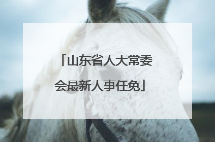 山东省人大常委会最新人事任免
