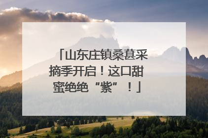 山东庄镇桑葚采摘季开启！这口甜蜜绝绝“紫”！