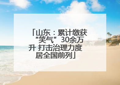 山东：累计缴获“笑气”30余万升 打击治理力度居全国前列