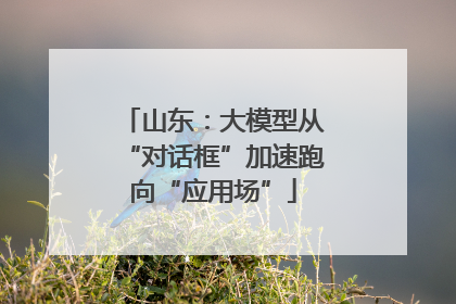 山东：大模型从“对话框”加速跑向“应用场”