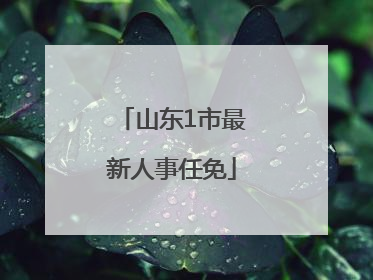 山东1市最新人事任免