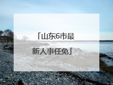山东6市最新人事任免
