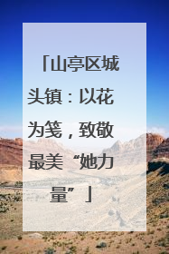 山亭区城头镇：以花为笺，致敬最美“她力量”