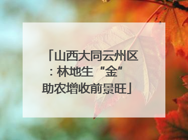 山西大同云州区：林地生“金” 助农增收前景旺