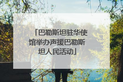 巴勒斯坦驻华使馆举办声援巴勒斯坦人民活动