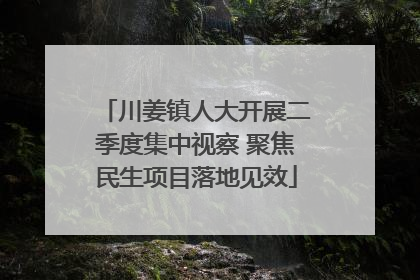 川姜镇人大开展二季度集中视察 聚焦民生项目落地见效