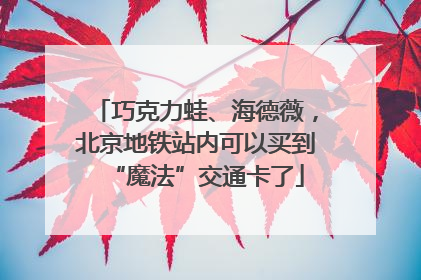 巧克力蛙、海德薇，北京地铁站内可以买到“魔法”交通卡了