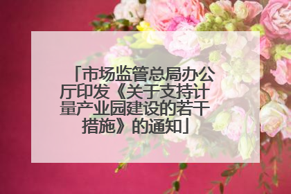 市场监管总局办公厅印发《关于支持计量产业园建设的若干措施》的通知