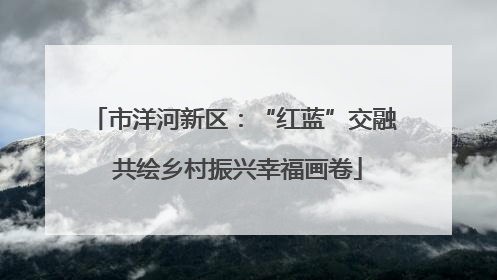 市洋河新区：“红蓝”交融 共绘乡村振兴幸福画卷