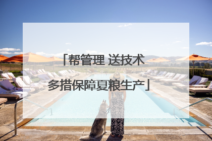 帮管理 送技术 多措保障夏粮生产