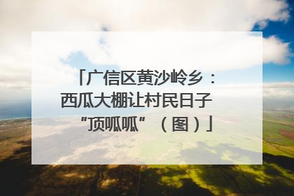 广信区黄沙岭乡：西瓜大棚让村民日子“顶呱呱”（图）