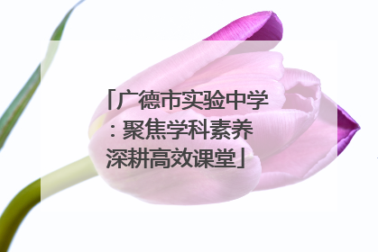广德市实验中学：聚焦学科素养 深耕高效课堂