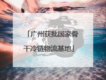 广州获批国家骨干冷链物流基地