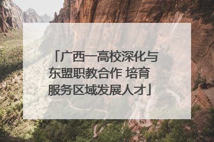 广西一高校深化与东盟职教合作 培育服务区域发展人才