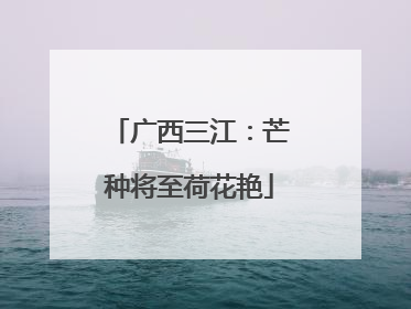 广西三江：芒种将至荷花艳