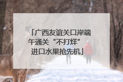 广西友谊关口岸端午通关“不打烊” 进口水果抢先机