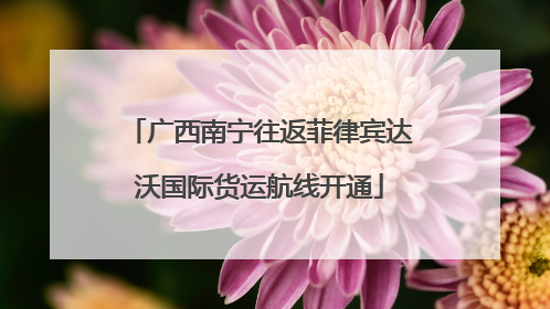 广西南宁往返菲律宾达沃国际货运航线开通