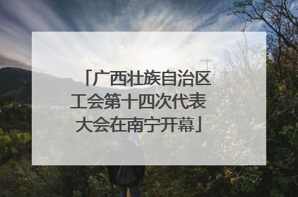 广西壮族自治区工会第十四次代表大会在南宁开幕