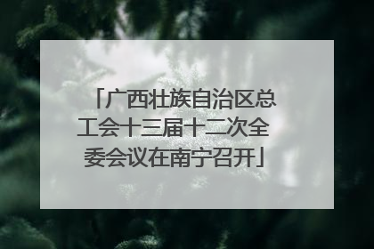 广西壮族自治区总工会十三届十二次全委会议在南宁召开