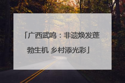 广西武鸣：非遗焕发蓬勃生机 乡村添光彩