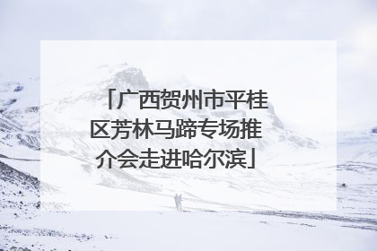 广西贺州市平桂区芳林马蹄专场推介会走进哈尔滨