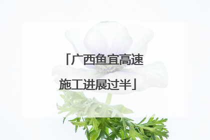 广西鱼宜高速施工进展过半
