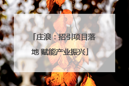 庄浪：招引项目落地 赋能产业振兴