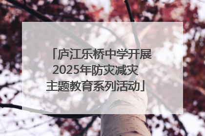 庐江乐桥中学开展2025年防灾减灾主题教育系列活动