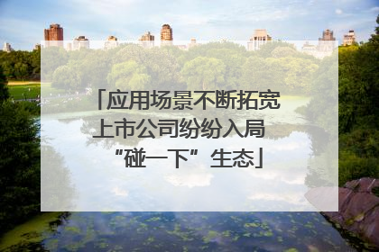 应用场景不断拓宽 上市公司纷纷入局“碰一下”生态