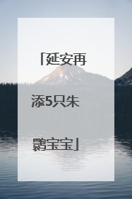 延安再添5只朱鹮宝宝